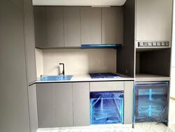 The Landmark (D3), Condominium #524393771
